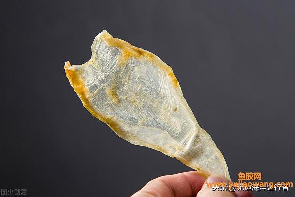 黃花魚膠和鳘魚膠哪個好